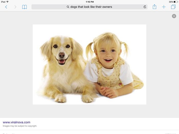 Young girl and golden dog lying side by side, showcasing a cute celebrity doppelganger animals resemblance.