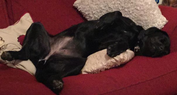 It's Been A Hard Day