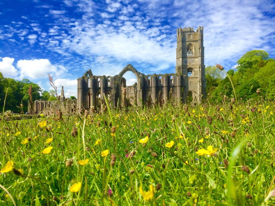 Fountains Abby Flower Meadow Yorkshire England