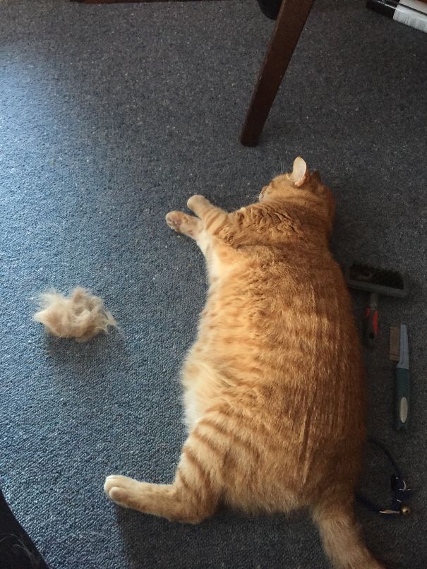 And Is One Of Those Every Day Day