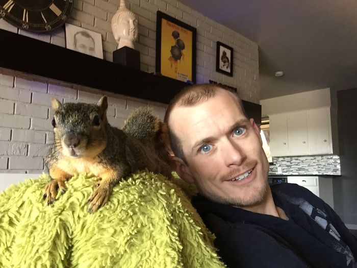 Squirrelito - My Little Buddy