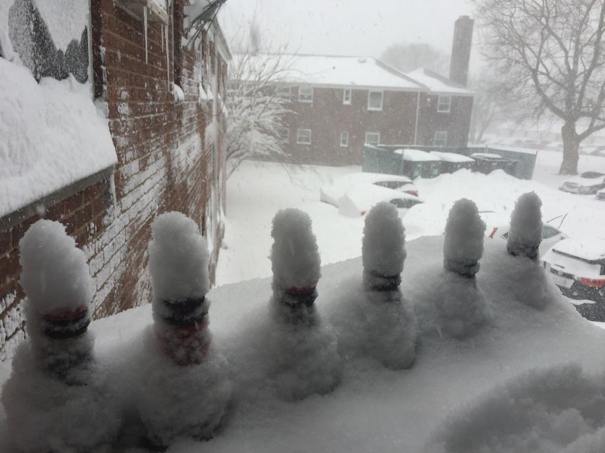 Keeping The Beer Cold