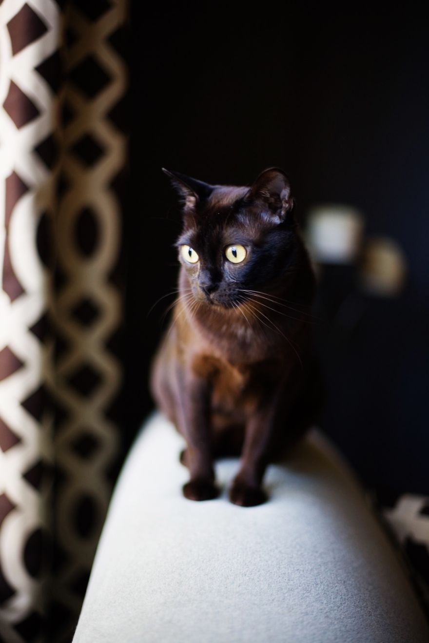 Nora Watching The Birds