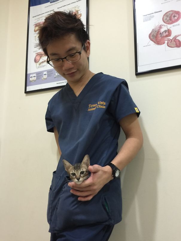 Little Kitten In My Pocket :)