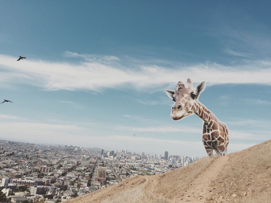 Exploring San Francisco.