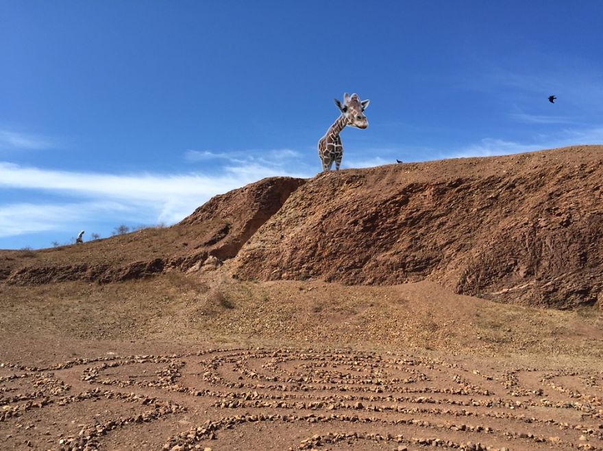 Bernal Heights San Francisco.