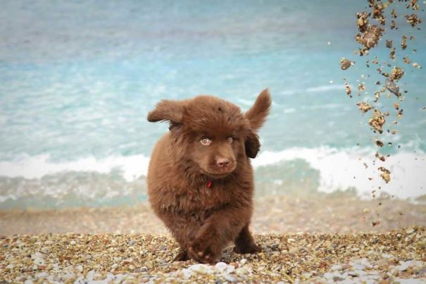Veda At The Beach, 2 Months Old