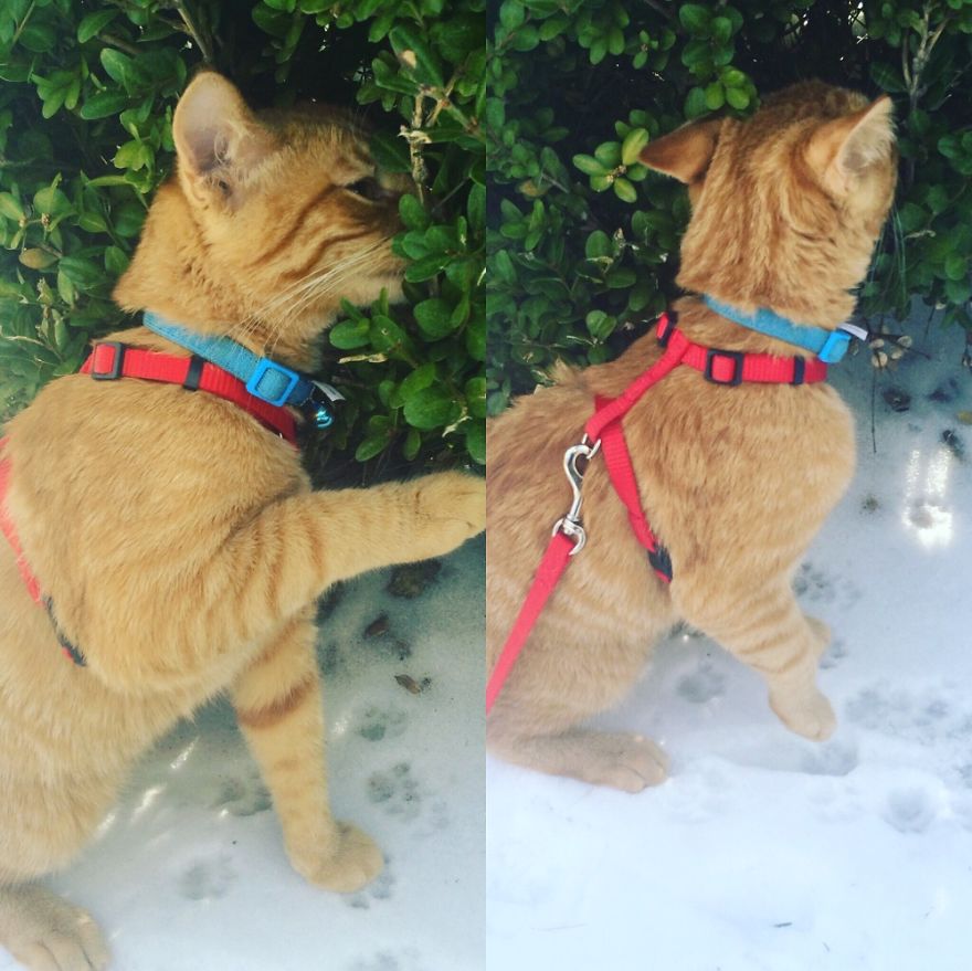 Taking Time To Smell The Flowers