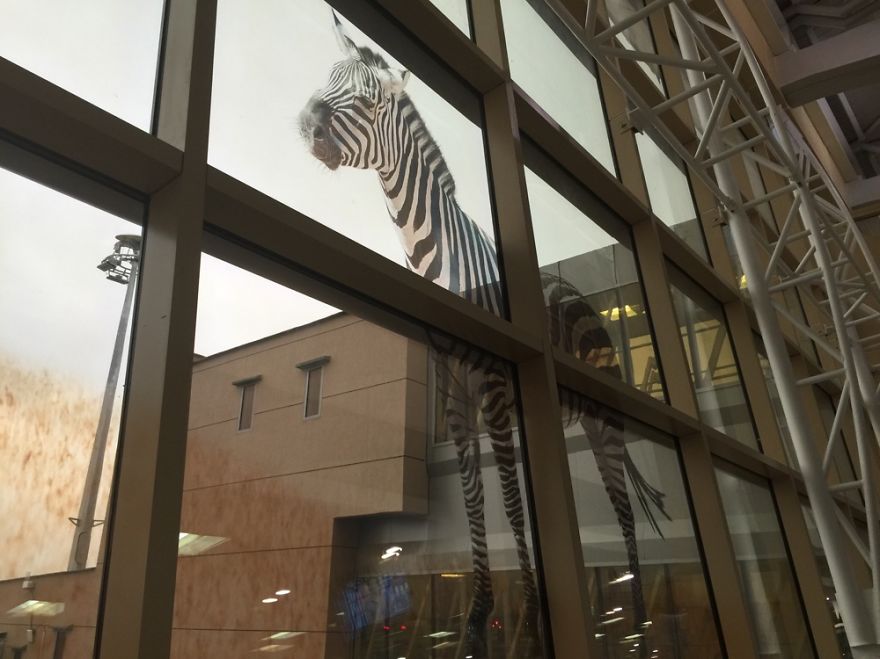 Africa And Visiting Kenya, Jomo Kenyatta International Airport