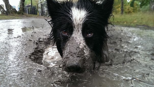 Joepie Takes A Bath...