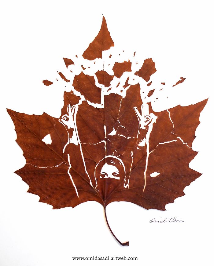 My Newest Delicate Leaf-Cuttings