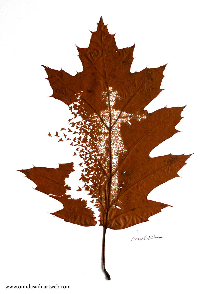 My Newest Delicate Leaf-Cuttings