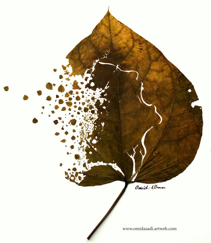 My Newest Delicate Leaf-Cuttings