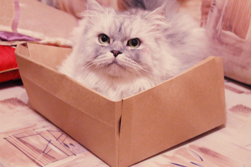 I Want To Thank Bored Panda For Turning My Hobby Into A Job I Want To Thank Bored Panda For Turning My Hobby Into A Job