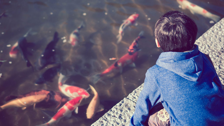 Living In Japan Through The Eyes Of A Foreigner