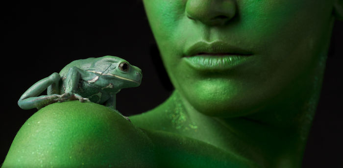 Metamorphosis: My Visual Exploration Of Our Connection With Amphibians