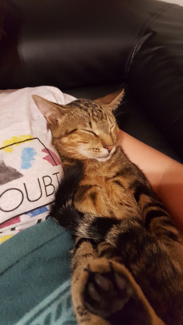 Sooo Comfy In Moma's Arms!