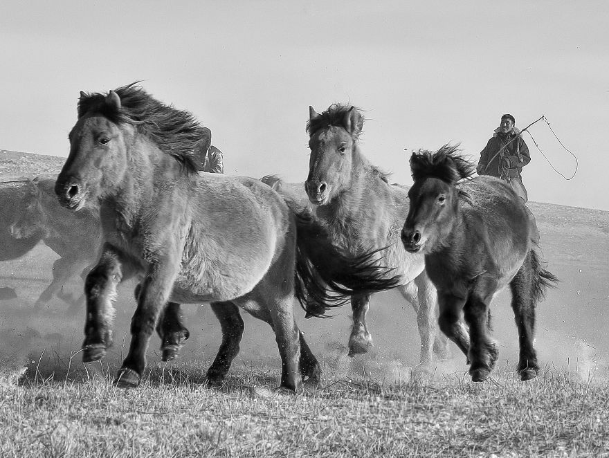 Mongolia Is Said To Be A Nation Born On A Horseback Mongolia Is Said To Be A Nation Born On A Horseback