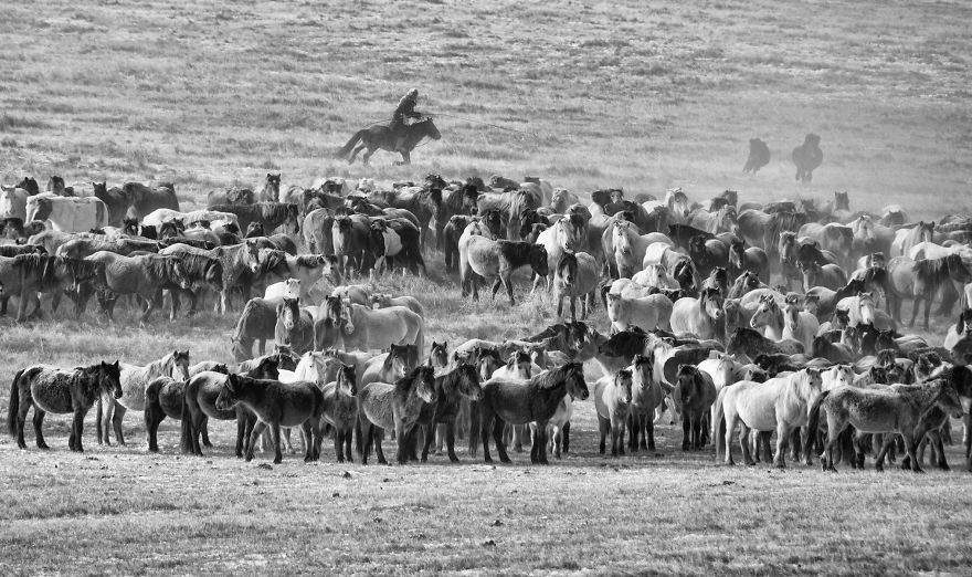 Mongolia Is Said To Be A Nation Born On A Horseback Mongolia Is Said To Be A Nation Born On A Horseback