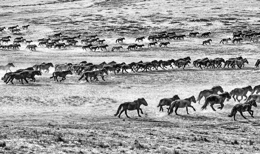 Mongolia Is Said To Be A Nation Born On A Horseback Mongolia Is Said To Be A Nation Born On A Horseback