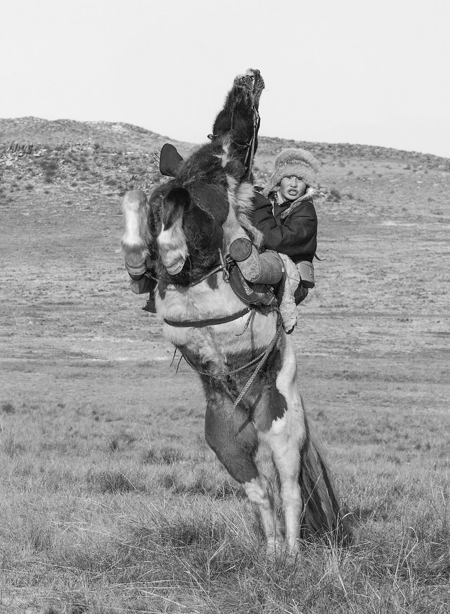 Mongolia Is Said To Be A Nation Born On A Horseback Mongolia Is Said To Be A Nation Born On A Horseback