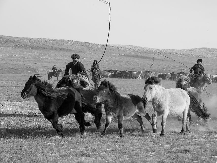 Mongolia Is Said To Be A Nation Born On A Horseback