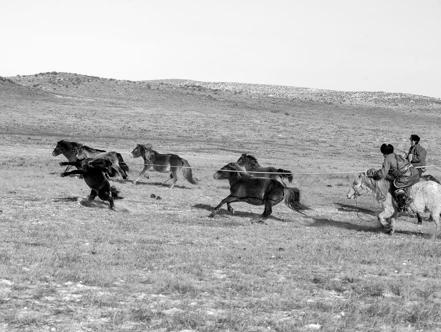 Mongolia Is Said To Be A Nation Born On A Horseback Mongolia Is Said To Be A Nation Born On A Horseback