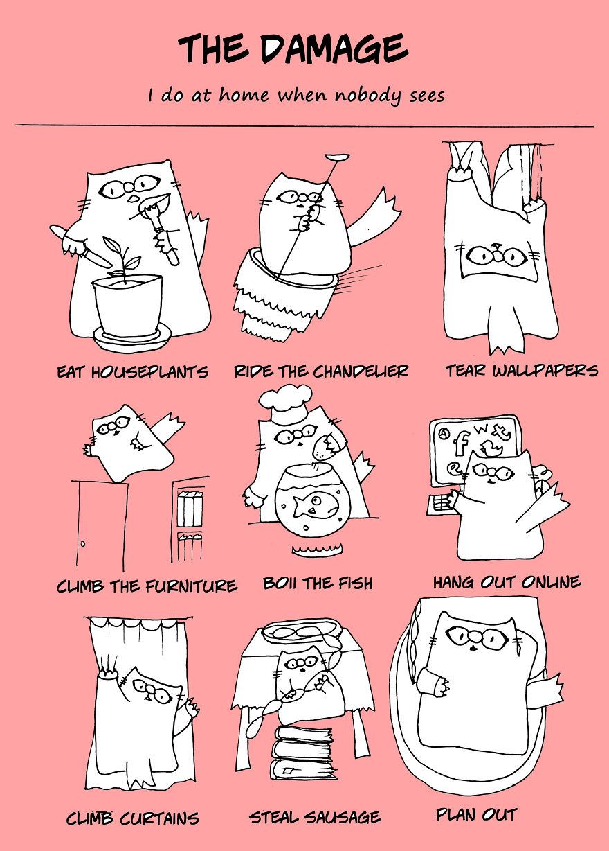 The Damage I Do At Home When Nobody's Watching