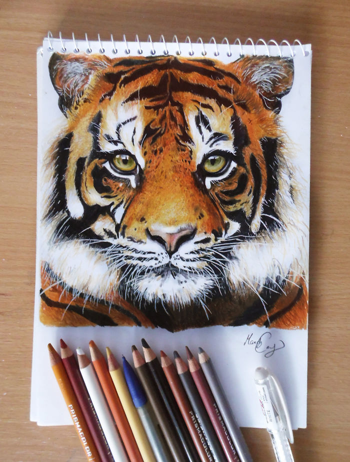 My Drawings Are My Life My Drawings Are My Life