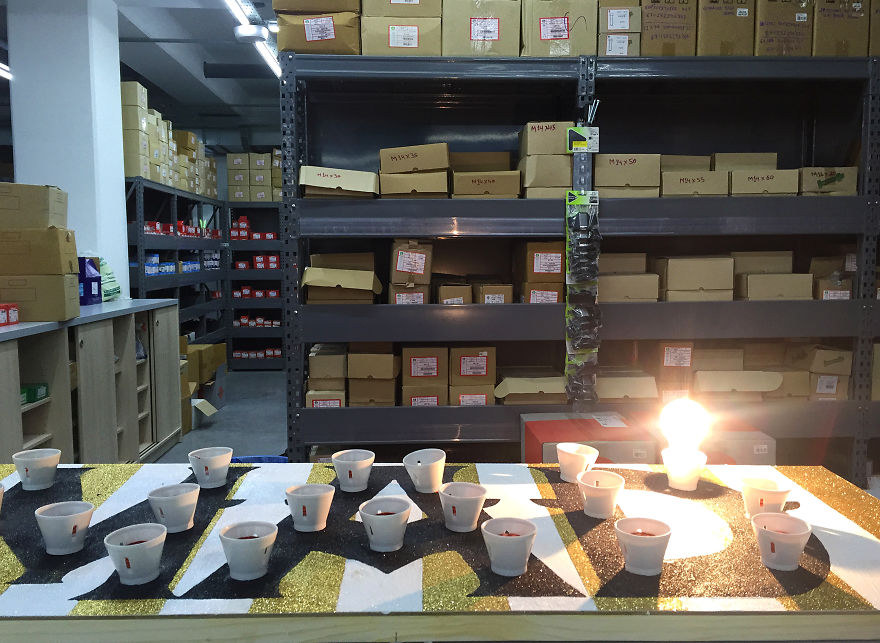 My Mom Let Me Decorate Her Shop This Year, Inspired By Alice's Adventures In Wonderland