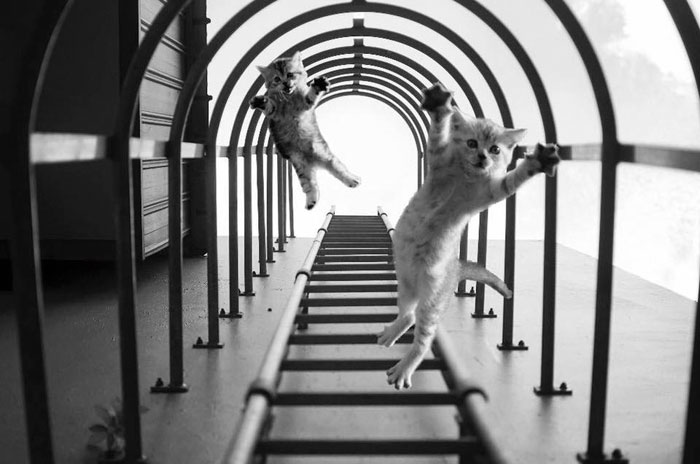 nikon-awards-badly-photoshopped-photo-fail-12 nikon-awards-badly-photoshopped-photo-fail-12