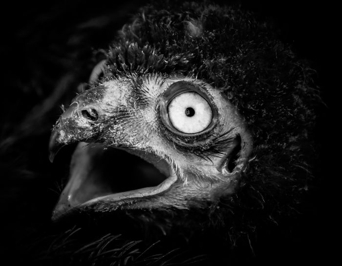 Oh No, Monday Is Here Again!