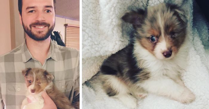 This Guy Only Has Vision In One Eye, So He Bought A One-Eyed-Dog That No One Else Wanted