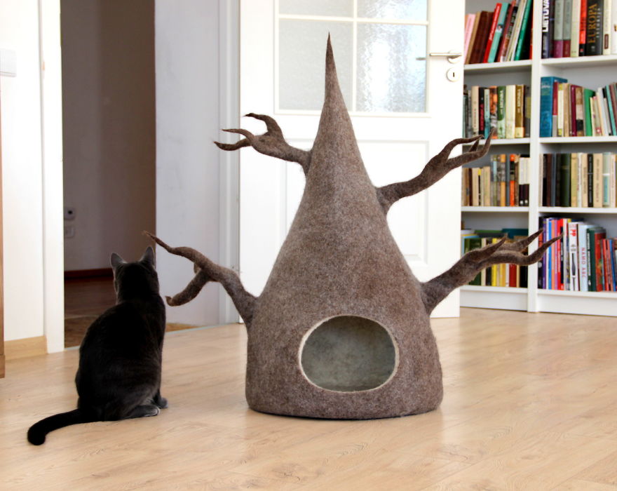 Our Cat And Her Wool Beds