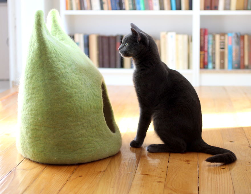 Our Cat And Her Wool Beds Our Cat And Her Wool Beds