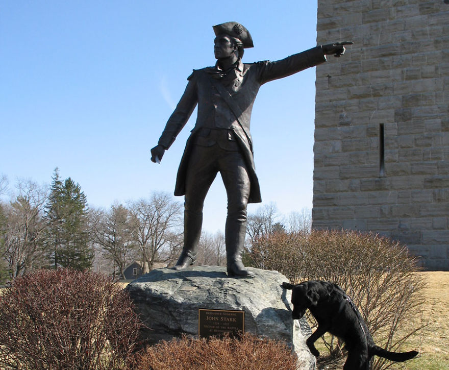 Our Dog Hans Loves To Travel