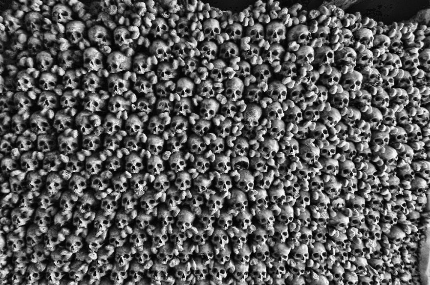 Skull collage puzzle, challenging viewers to find the hidden panda among hundreds of skulls.