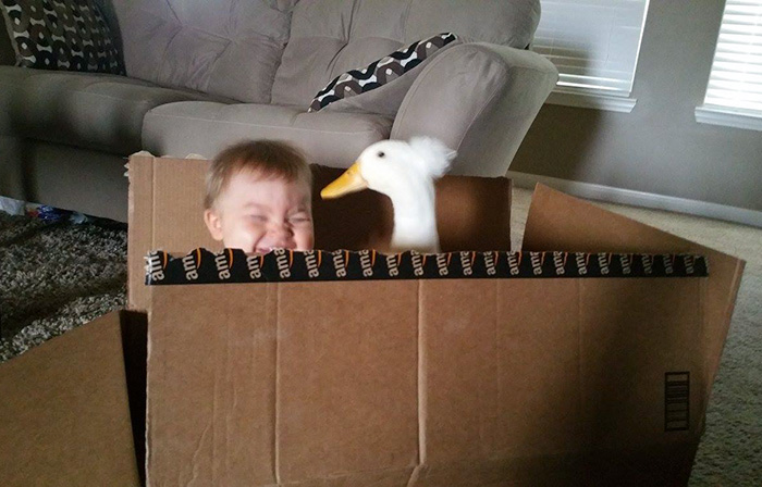 pet-duck-boy-best-friends-mr-t-and-bee-tyler-young-24