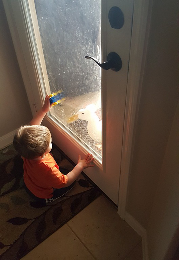 pet-duck-boy-best-friends-mr-t-and-bee-tyler-young-25