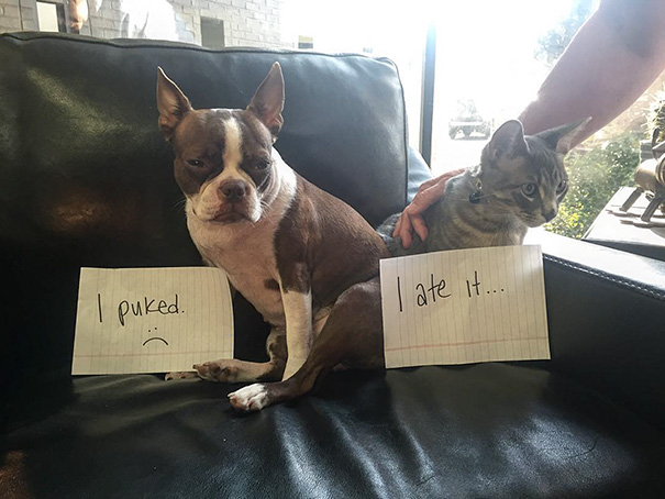 Penny And Phillip Are The Best Friends. They Even Take Care Of Each Other When They're Sick