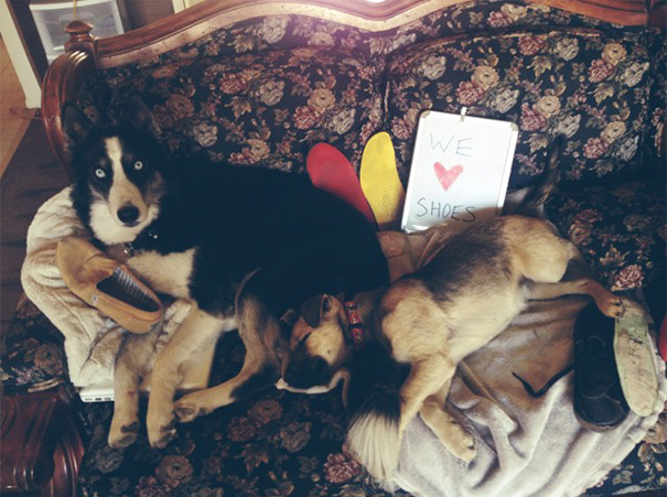 Kodah & Goldie Both Love The Souls Of Our Shoes