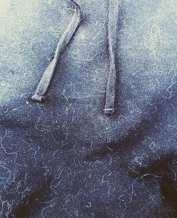 This Is A New Level Of Cat Lady For Me