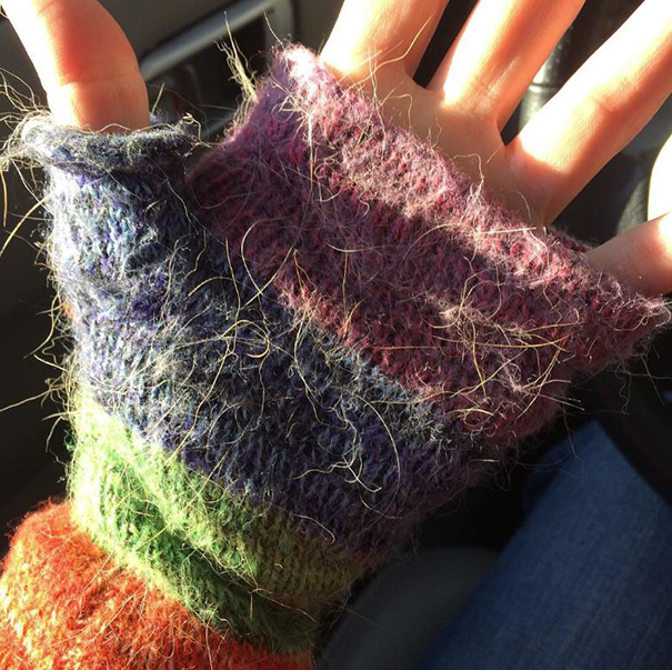 We Went To The Dog Park Today To See All Our Friends