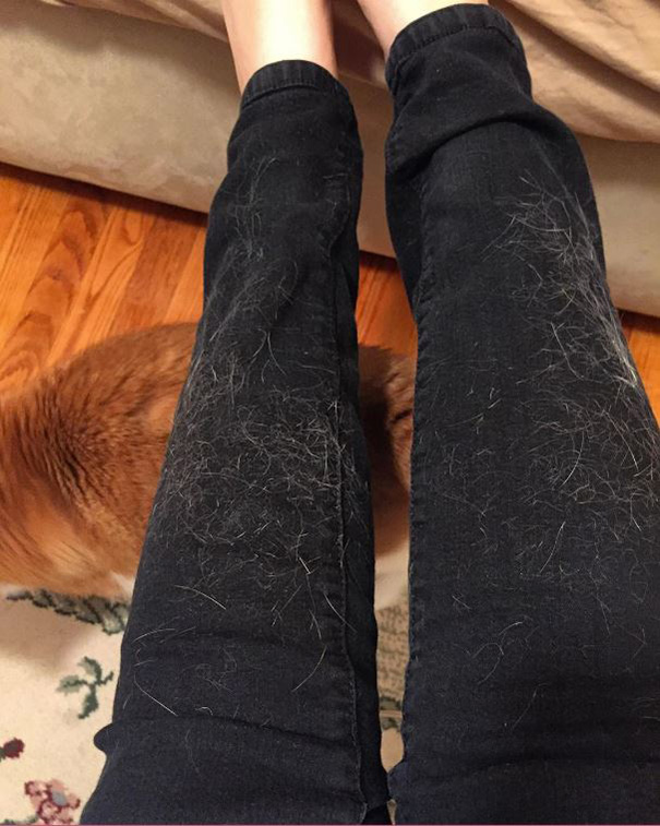 Its Like He Purposely Does This Only When I'm Wearing Black