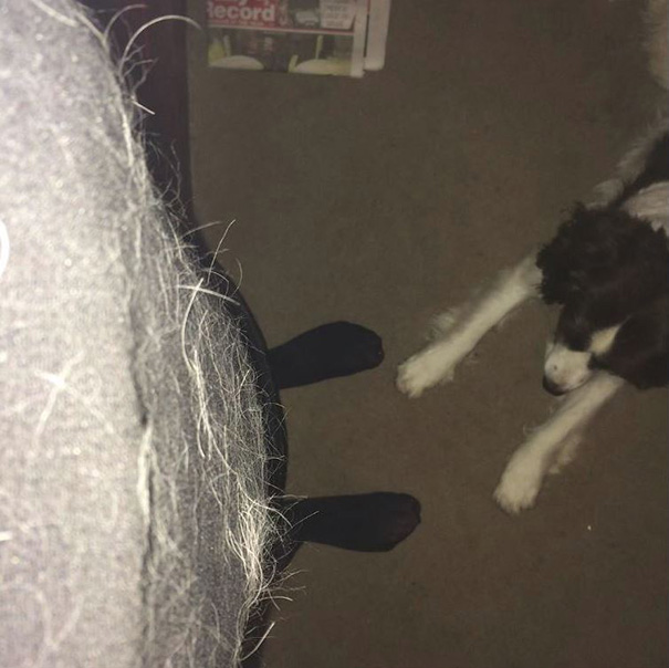 I'm Actually Wearing A Black Dress Here