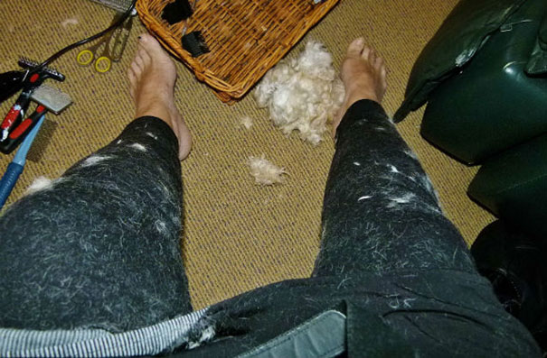 Time For Me To Get Out Of These Itchy Clothes, Don't Want To Smell Like Teddy Any Longer