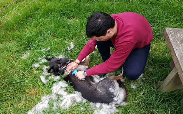 It's Everyday Battle