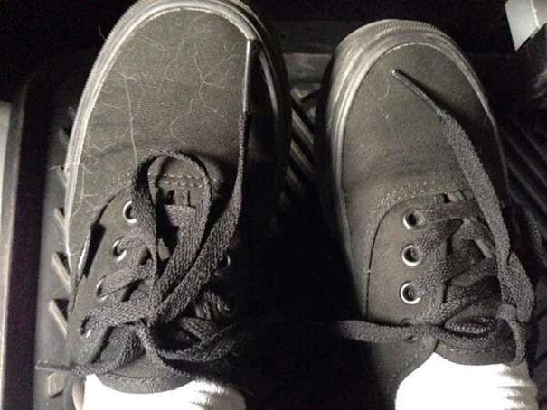 My Shoes Are Covered With Dogs Fur