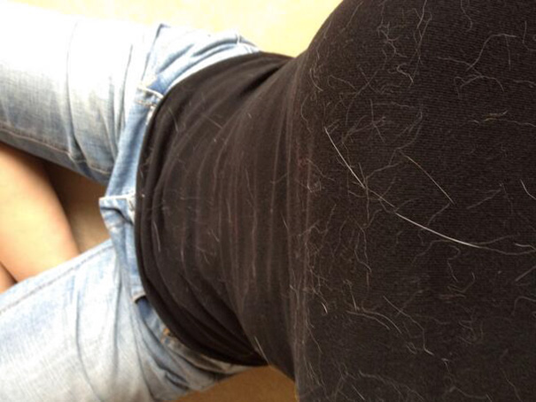 A T-shirt That Is Now Covered In Cat-hair