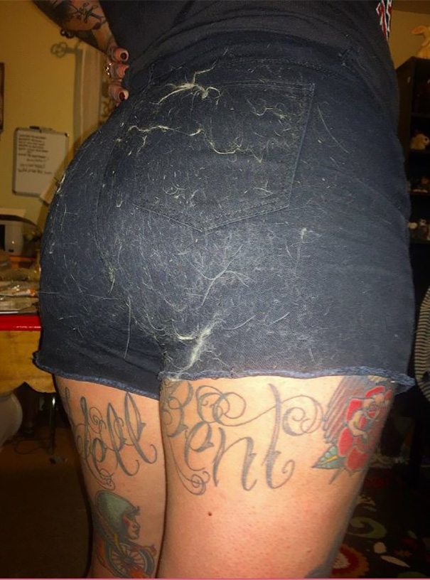 I Sat In My Comfy Chair For A While. Turns Out, The Cats Have Loved Sleeping There As Well